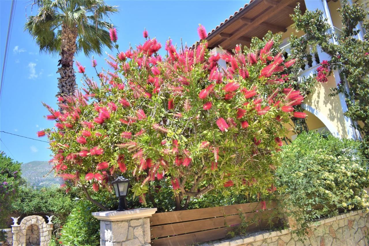 Villa Dionysios Keri Bagian luar foto