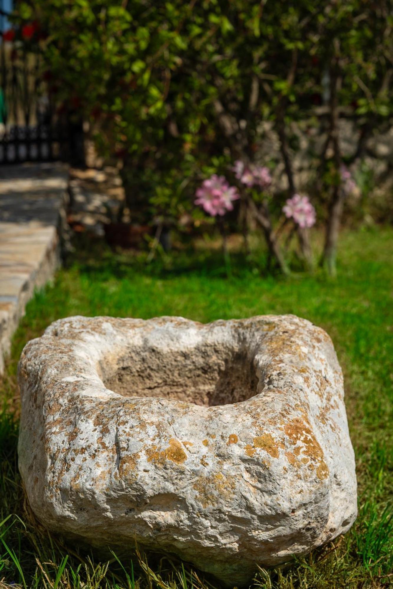 Villa Dionysios Keri Bagian luar foto