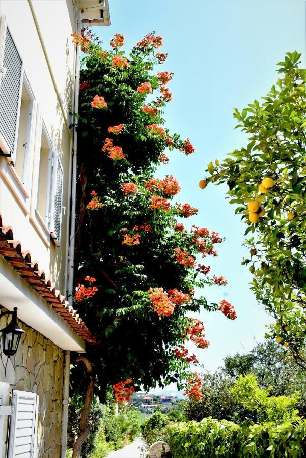 Villa Dionysios Keri Bagian luar foto